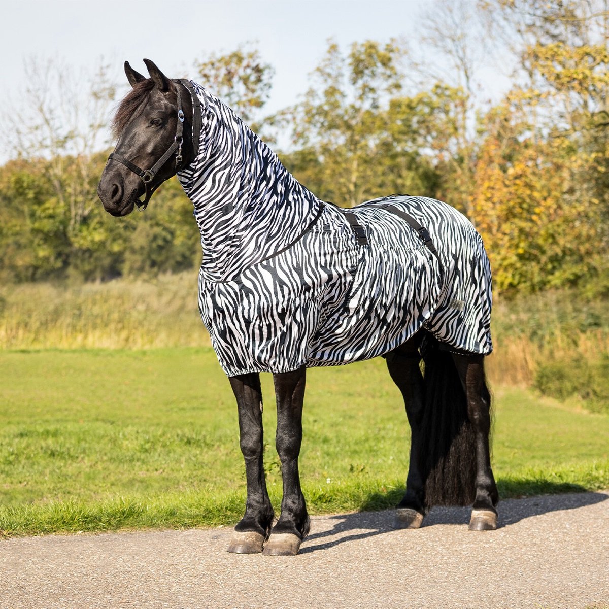 QHP ECZEEMDEKEN BIG NECK Zebra