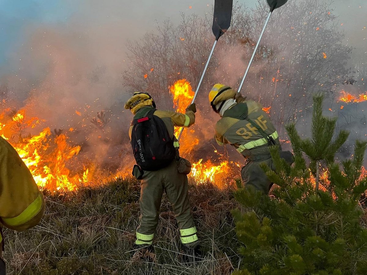 Brandblusset voor Bosbrandbestrijding met Rubberen Handgreep