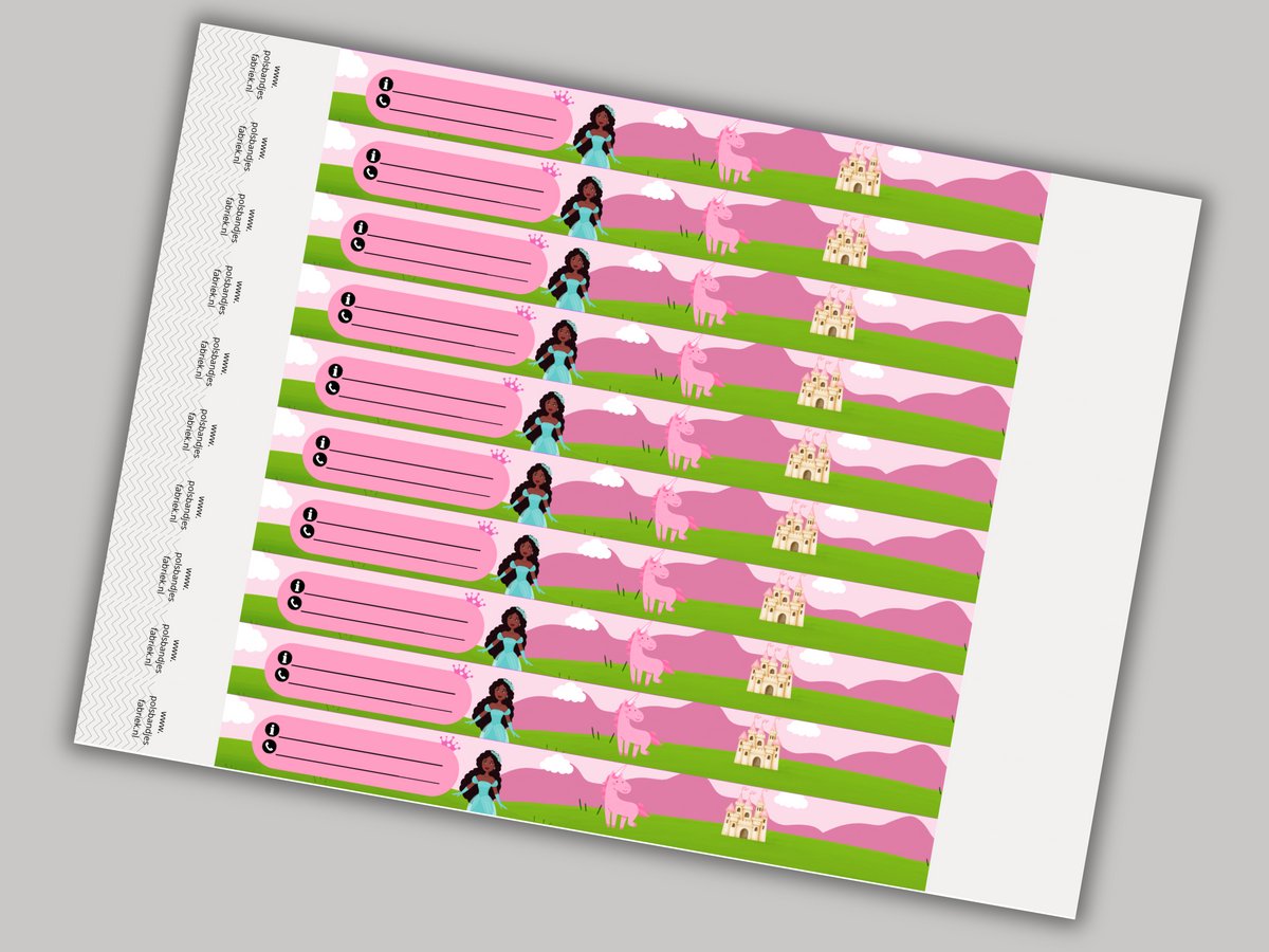 Kinder Tyvek Polsbandjes | Princessen Wereld | 100 Stuks | VanDerEng | Voor Schoolfeestjes, Uitjes en Kinderveiligheid