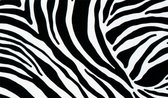 Plakfolie - Kleeffolie - Kleefplastiek - Plakplastiek - Hoogwaardig - 45 cm x 300 cm - Zebra