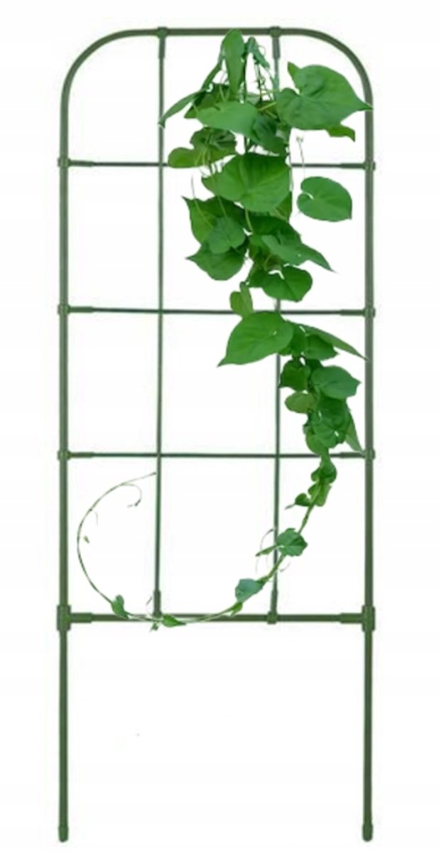 Floraland Greenmill Serie - Plantensteun Drabinka - 26x75cm - Groen - Staal