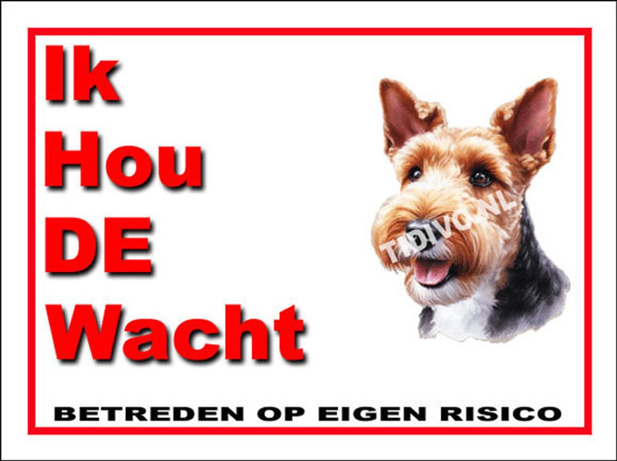 Welsh Terrier 7