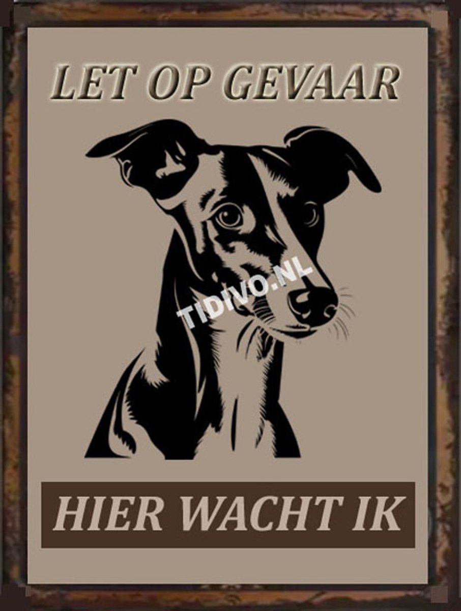 Whippet 18