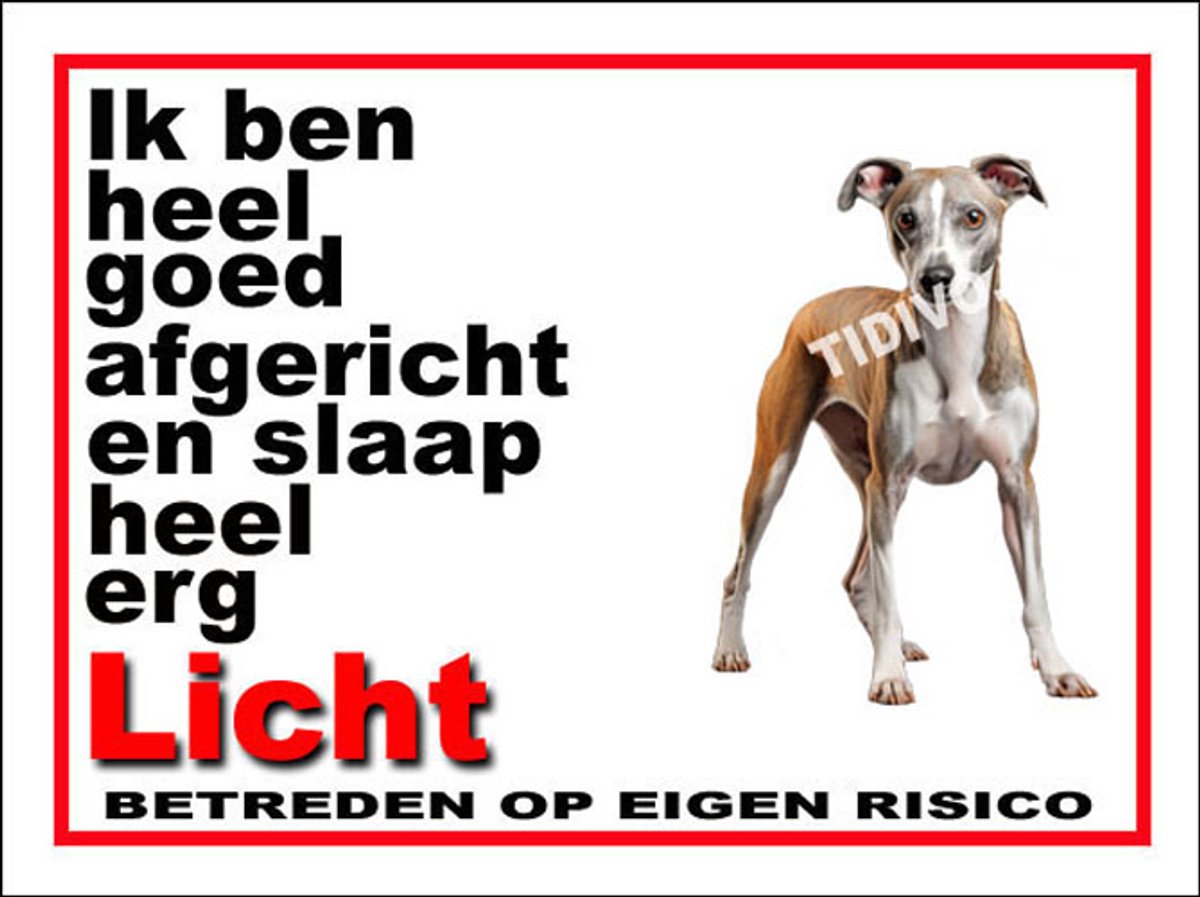 Whippet 4