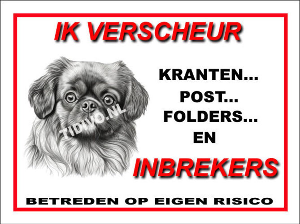 Tibetaanse Spaniel 8