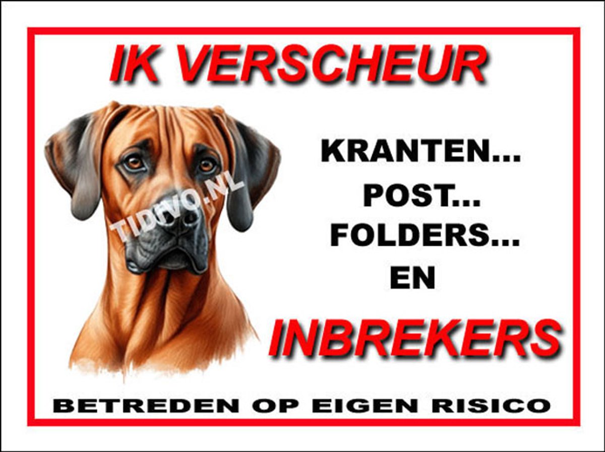 Weimaraner Rhodesian Ridgeback 8