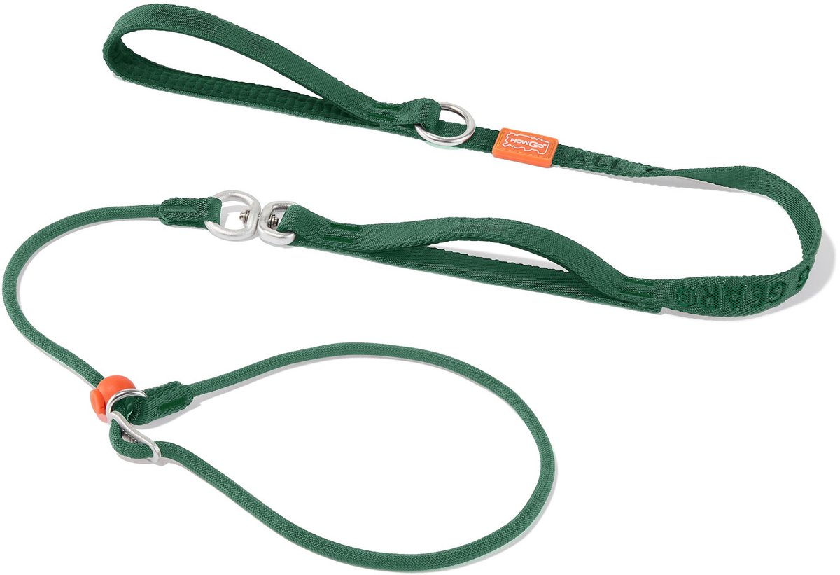Slip Lead Leash with Collar 1.5m (Green) - 360° Swivel Anti Tangle / Heavy Duty - No Pull Walking / 2 Handles / Large Medium Small Dogs / Training Hondenriem / Slipriem / Trainingslijn / Sliplijn / Slip Leiband