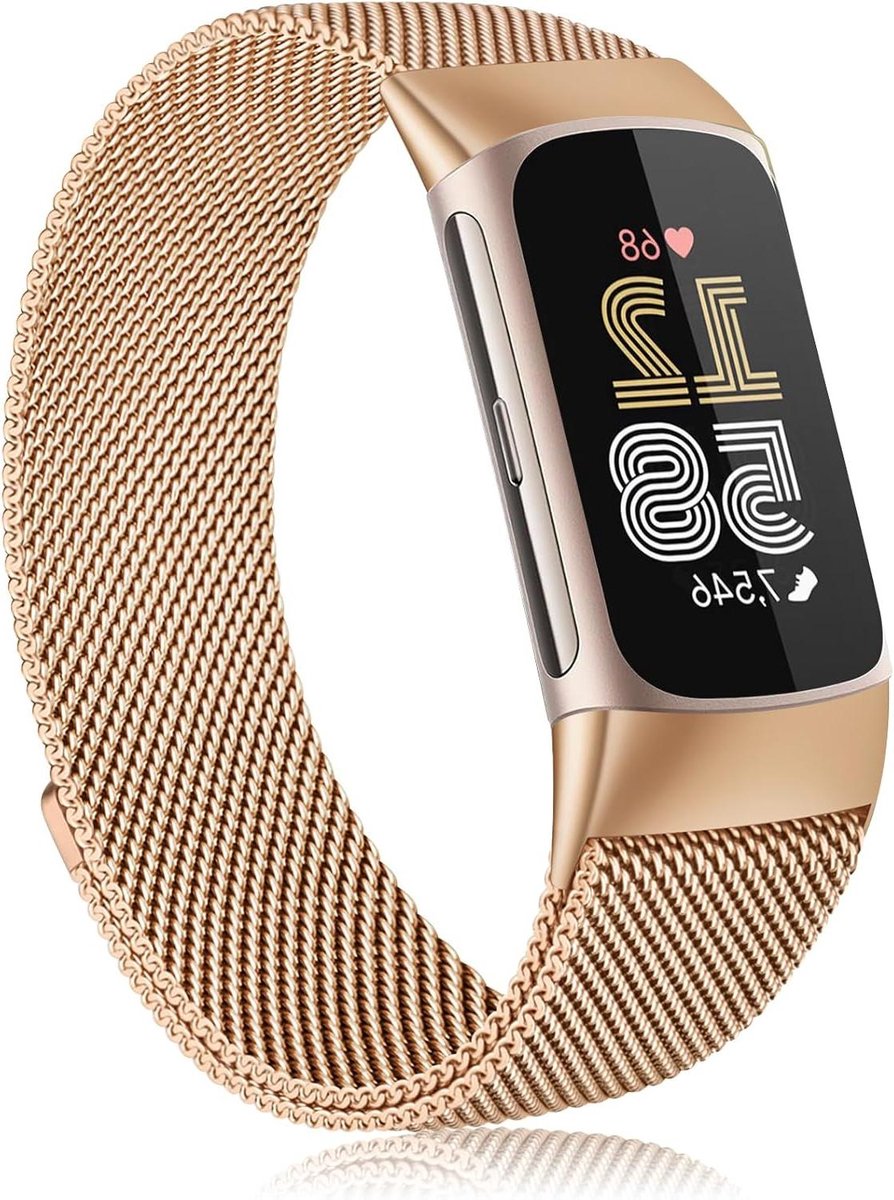 Allecto Plus - Roestvrij stalen mesh metalen armband voor Fitbit Charge 6 - Dames en heren - Reserveband met zoekwoorden: armband, Fitbit Charge 6, roestvrij staal.