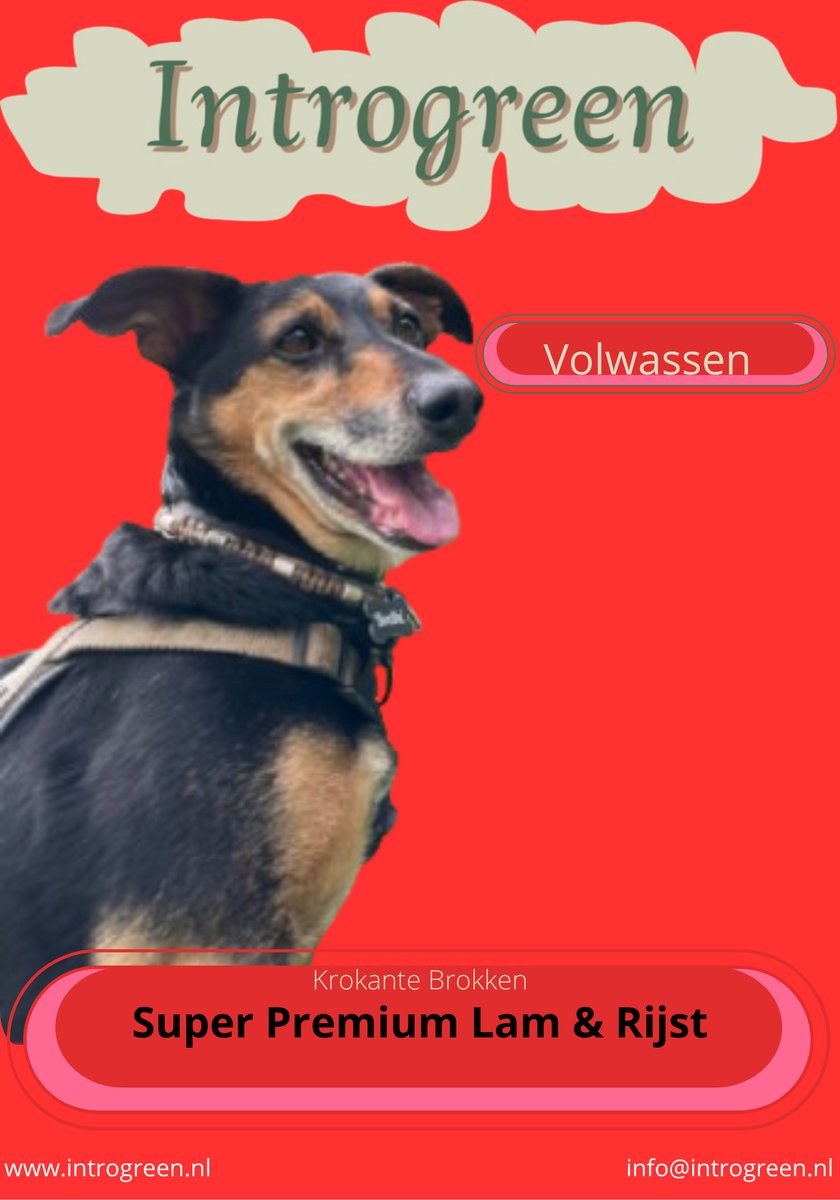 Super Premium Lam & Rijst – Hoogwaardige Voeding voor Volwassen Honden van Alle Rassen - 15 kg