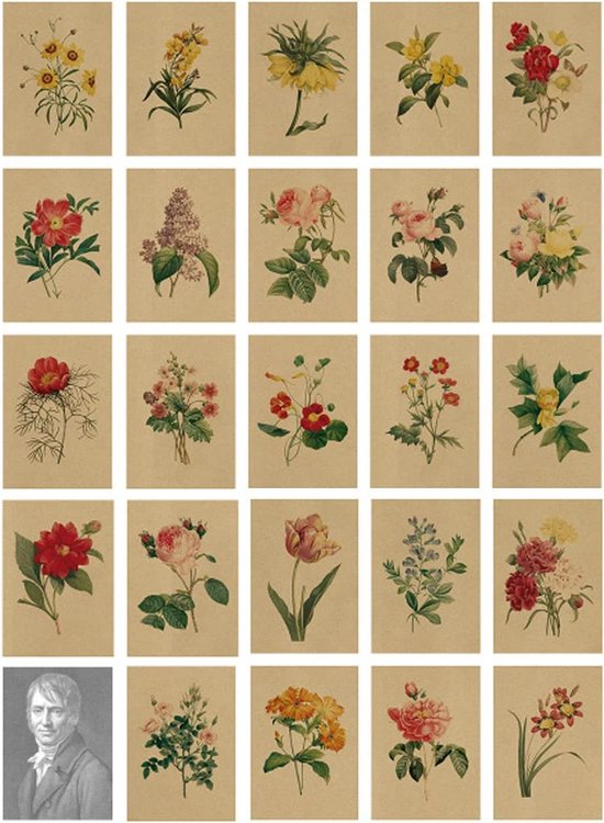 Nacnic Lot De 6 Affiches De Fleurs Bouquets Sauvages Impressions Nature Et Botanique Pour Amenagement Et Decoration A3 Et A4 Sans Cadres 87646166