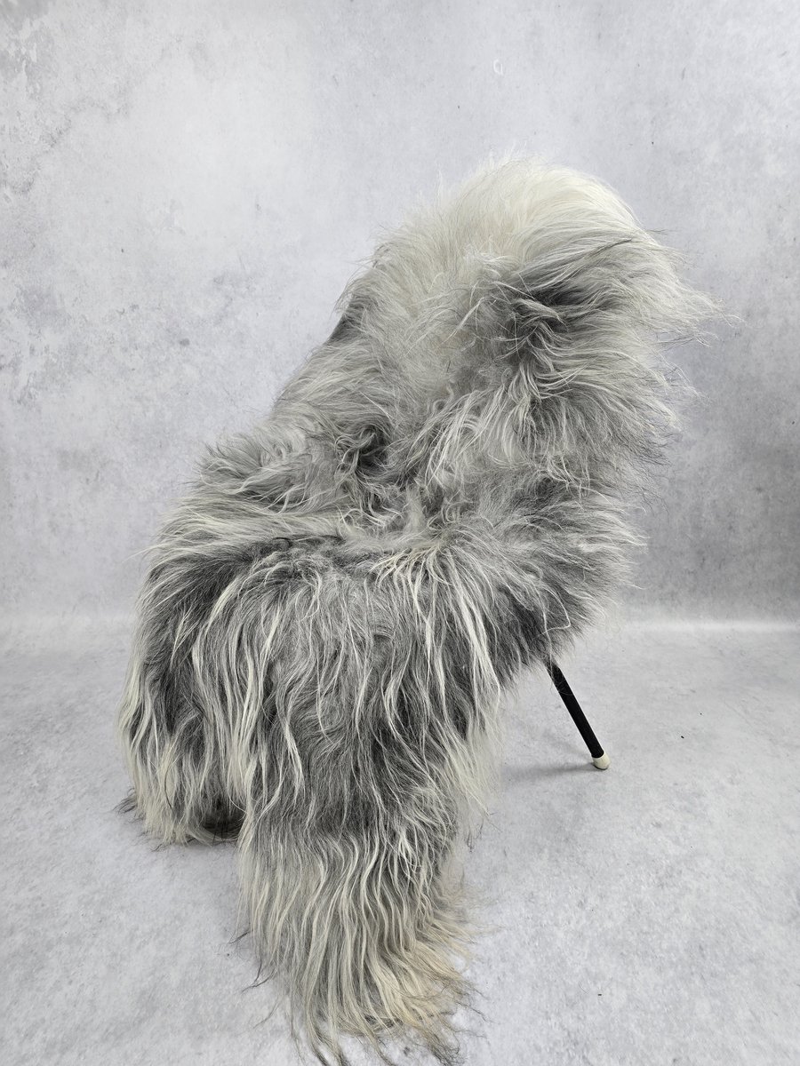 Schapenvacht IJslands- Exclusieve collectie - Woondecoratie – Grijs - 100% echt natuurlijke wollen vacht - 125x85 cm