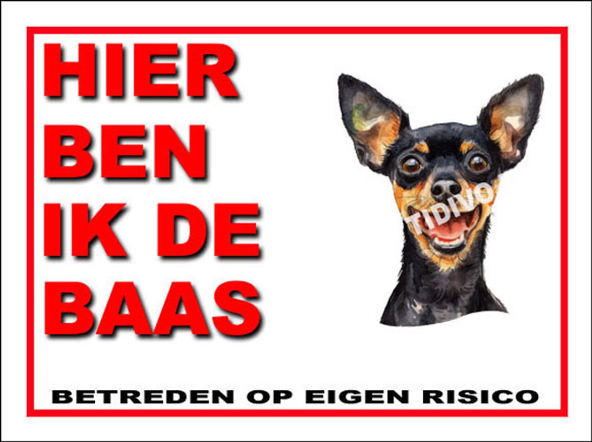 Engelse Toy Terrier 2