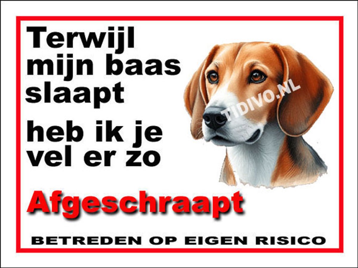 Engelse Foxhound 15