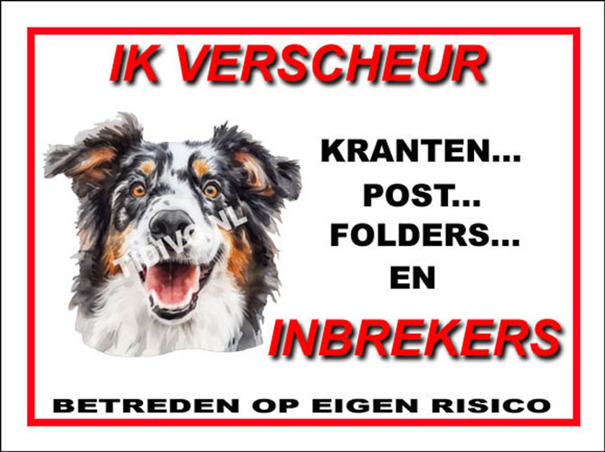 Engelse Shepherd 8