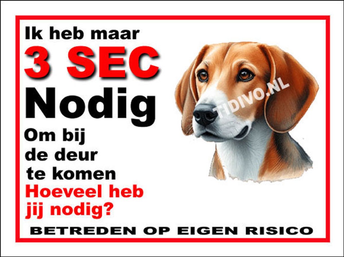 Engelse Foxhound 6