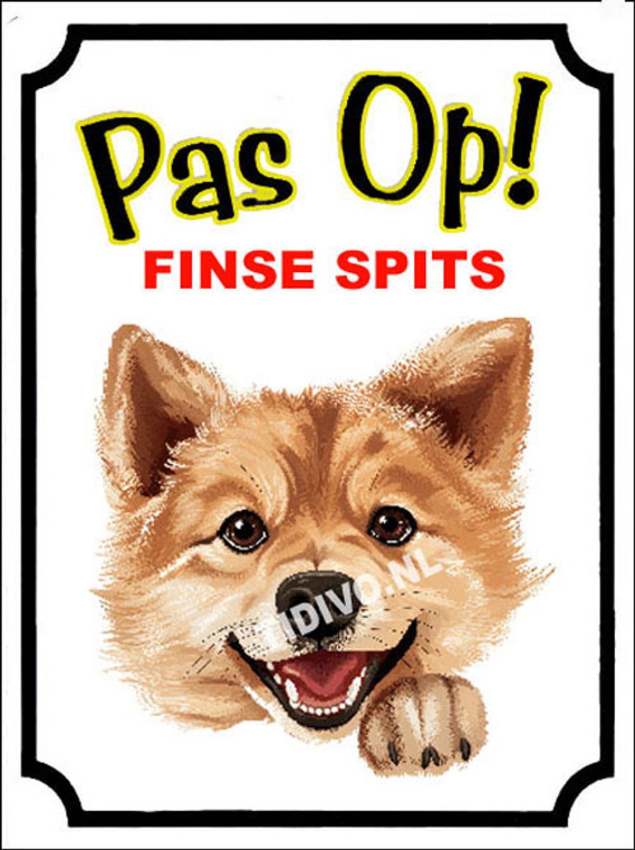 Finse Spits 16