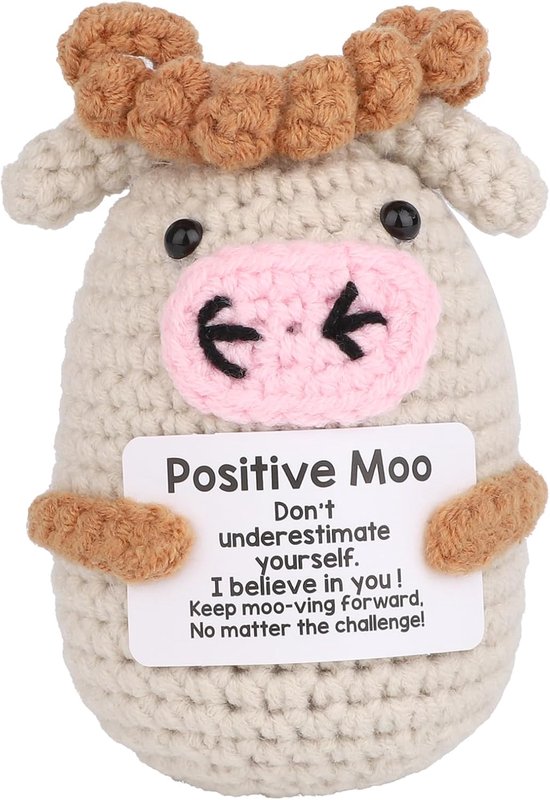 Mini Positieve Gehaakte Koepop - Emotioneel Opvrolijkingsspeelgoed - Inspirerend en Motiverend Cadeau voor Vrouwen Mannen Collega Vrienden en Tieners