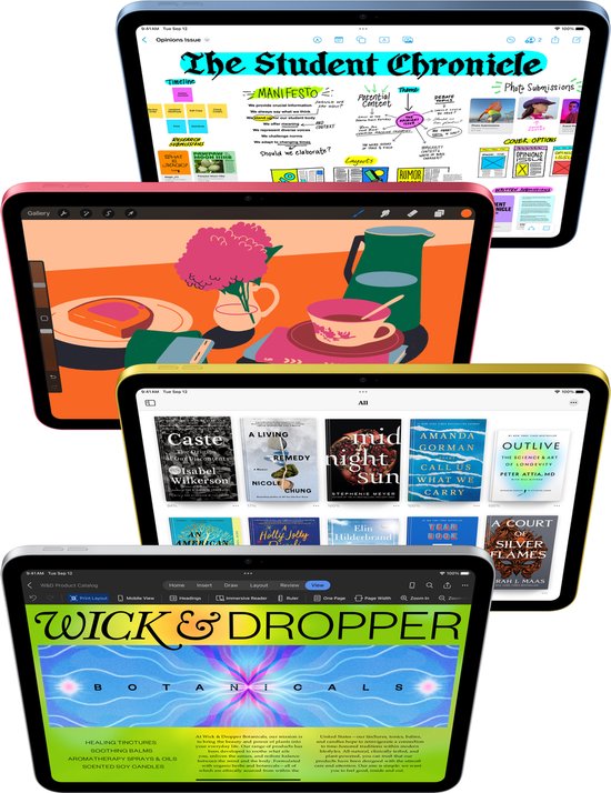 Apple iPad (2024) - Zonder USB-lader - 10.9 inch - WiFi - 64GB - Zilver - 10e generatie