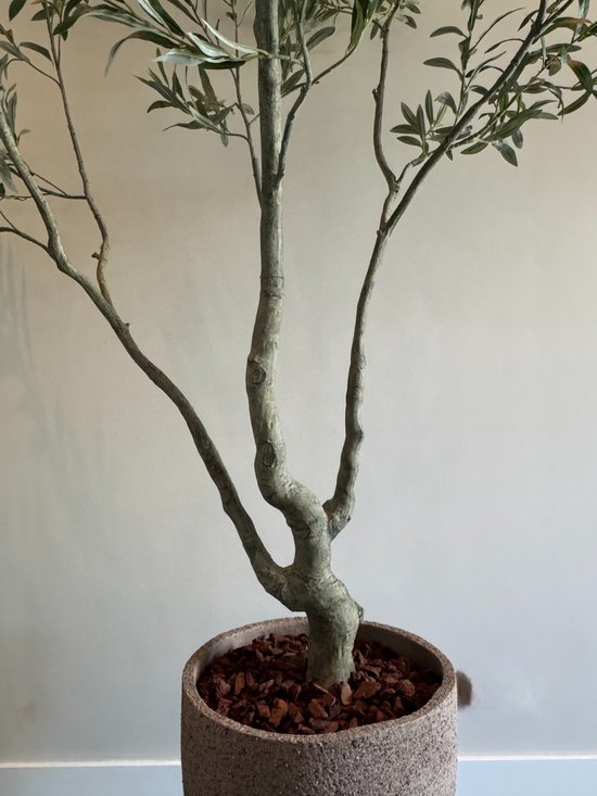 Zijden Olijfboom – Kunstboom – 240 cm – Mediterraan – Onderhoudsvrij