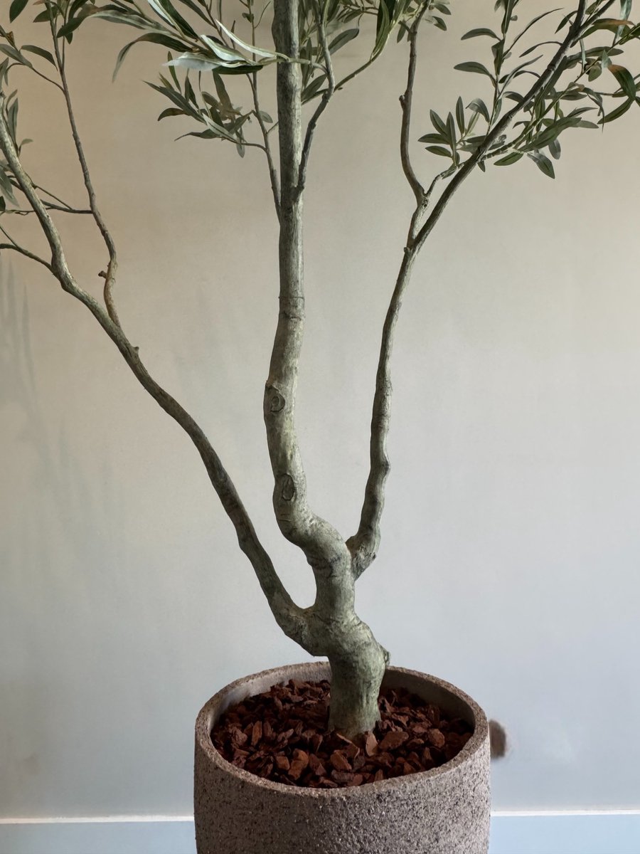 Zijden Olijfboom – Kunstboom – 240 cm – Mediterraan – Onderhoudsvrij