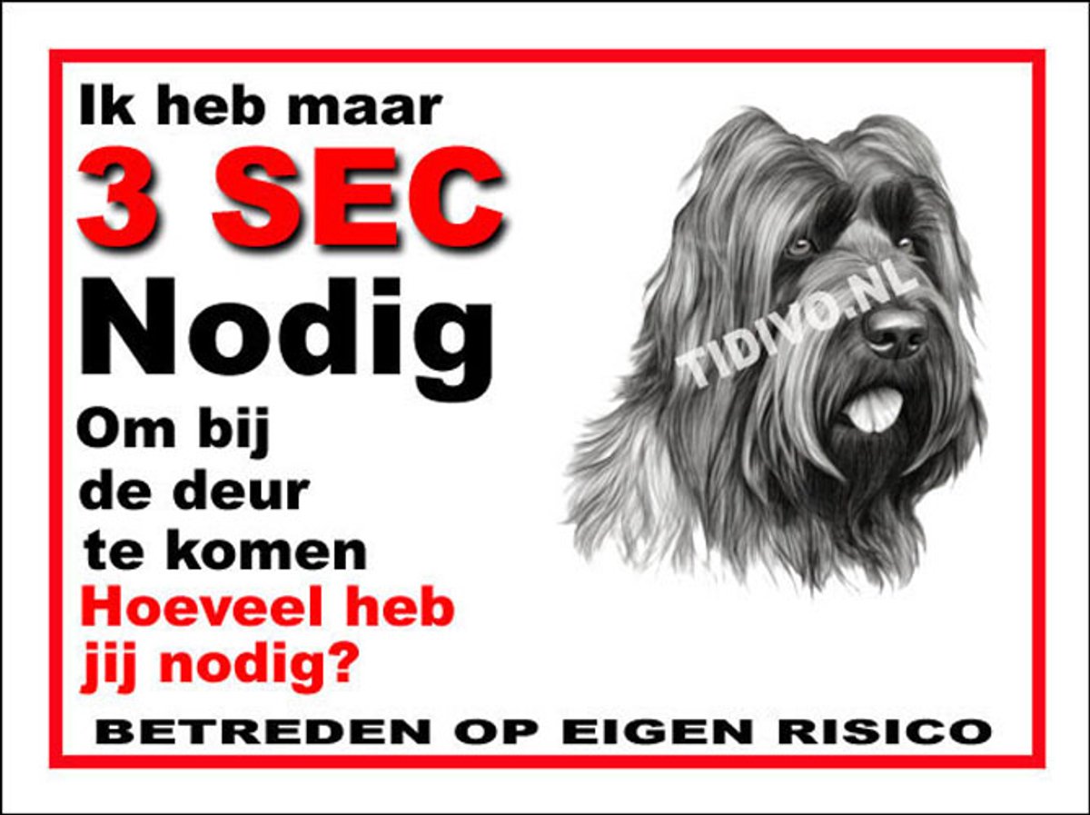 Briard 6