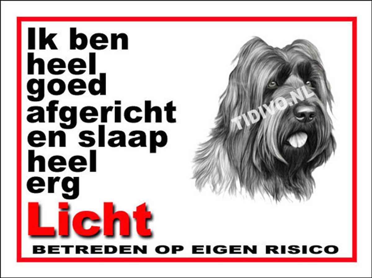 Briard 4