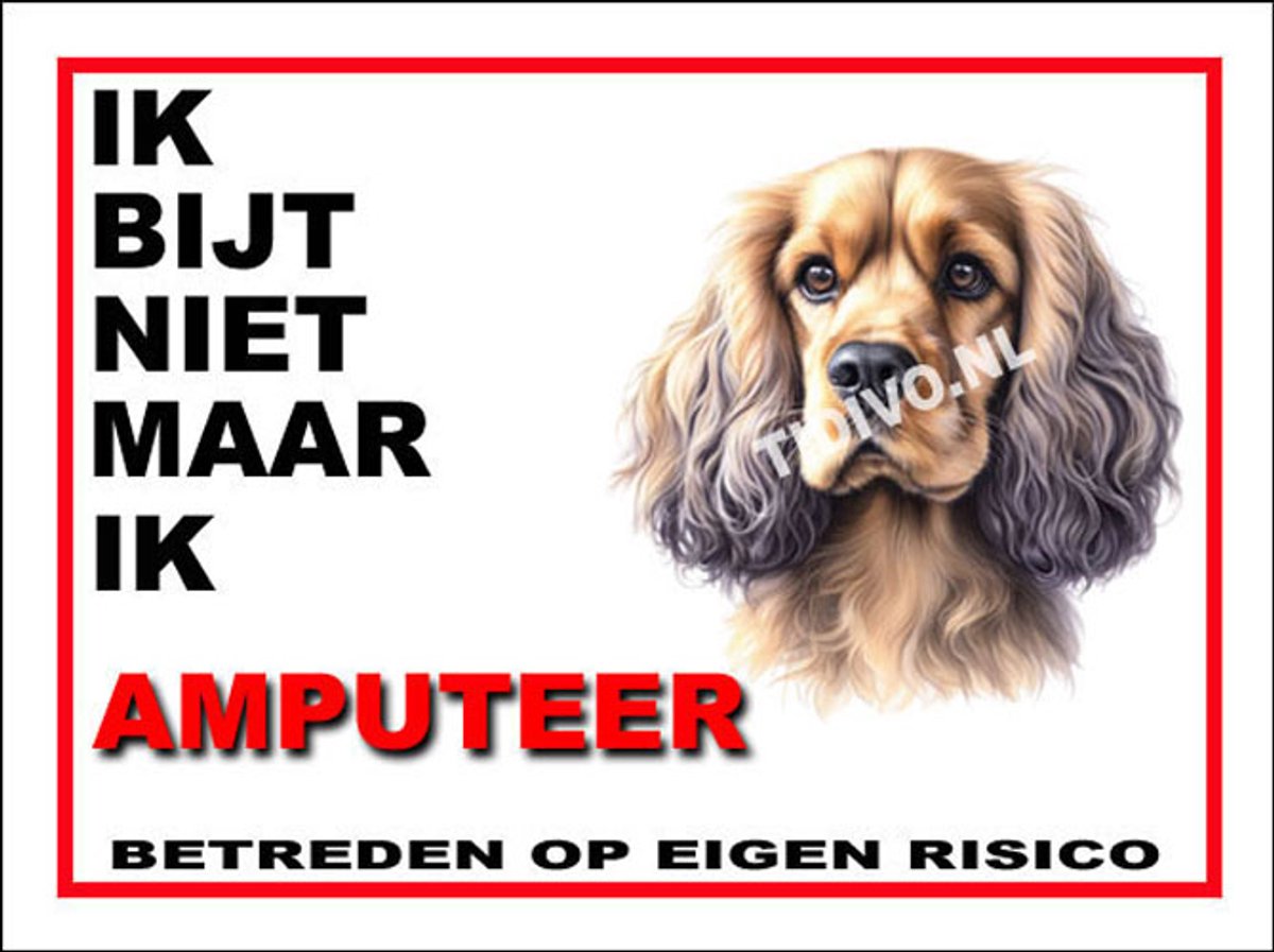 Cocker Spaniel 5