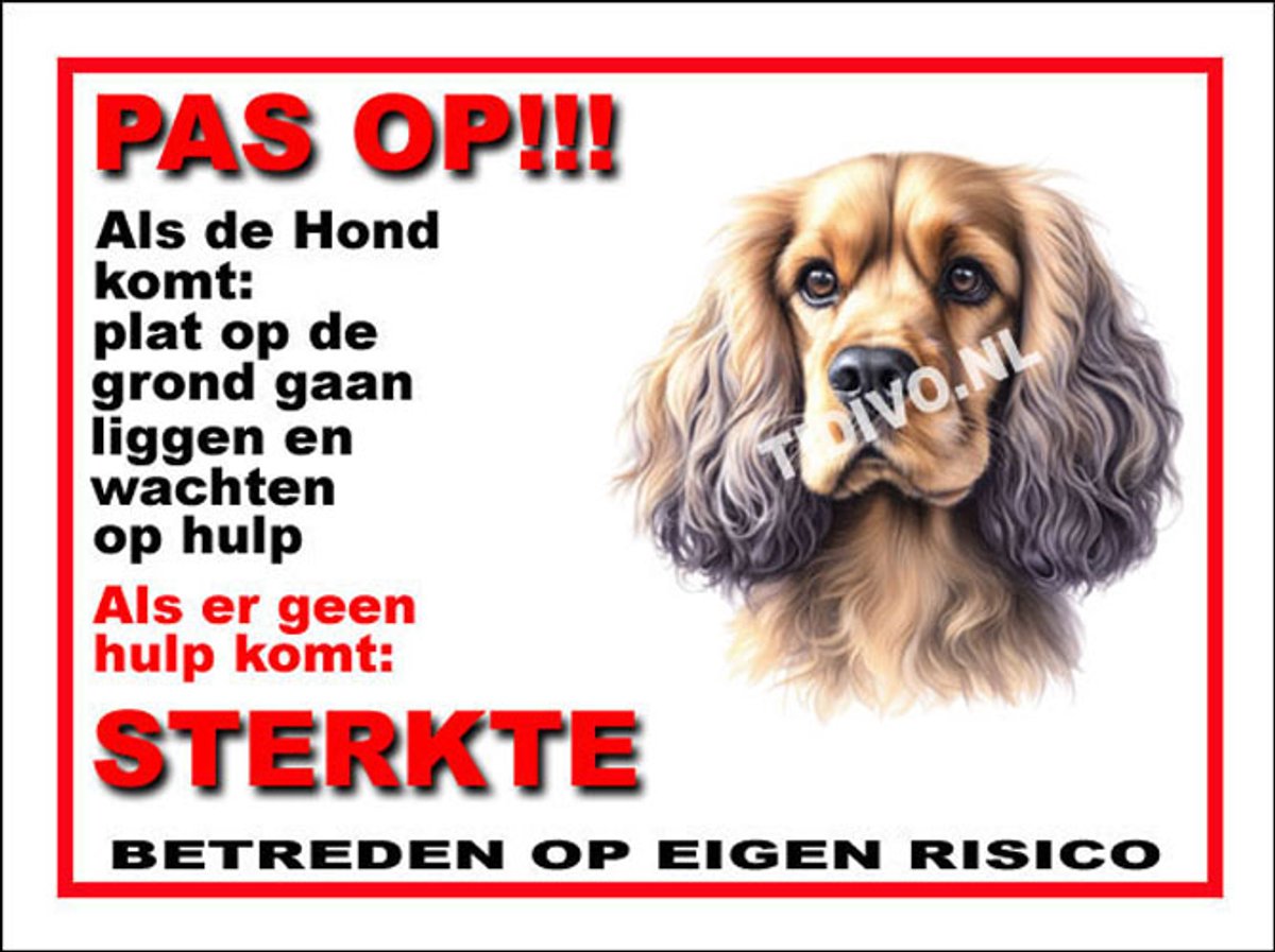 Cocker Spaniel 12