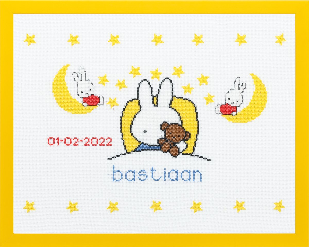 Pako Borduurpakket geboorte- telpatroon met codekaart - Nijntje gaat slapen Dick Bruna geboortetegel -230.278 - voorgesorteerd garen- Aida - 45 x 36 cm - DIY kit