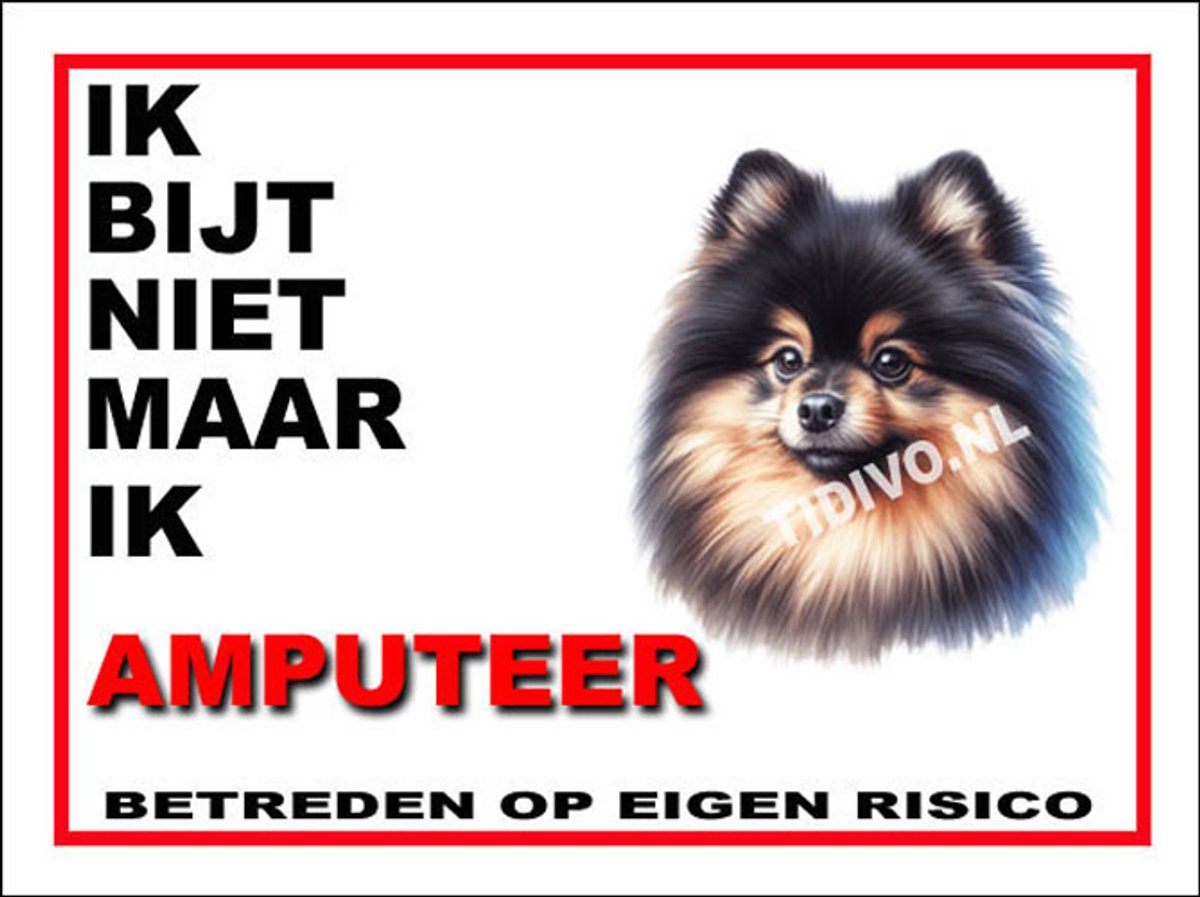 Dwergkeeshond 5