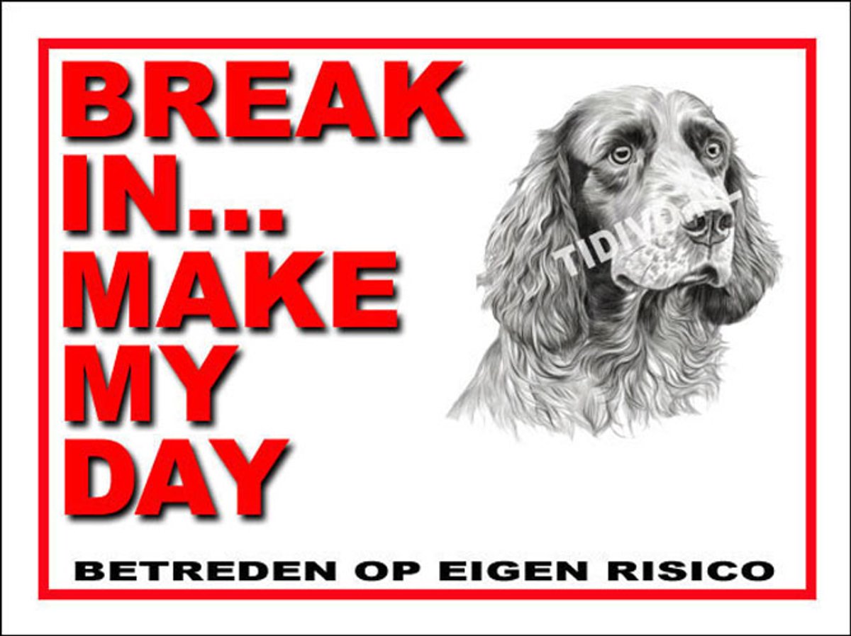 Clumber Spaniel 1