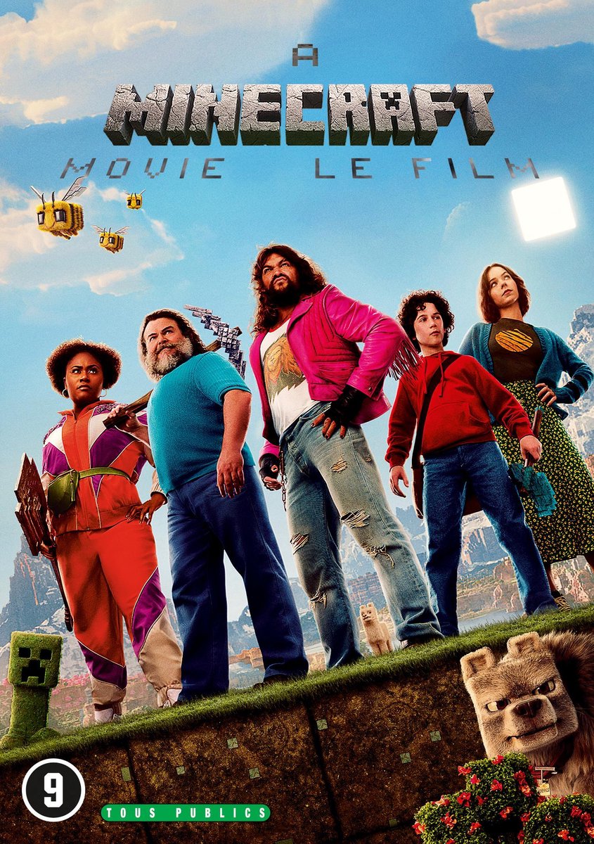 A Minecraft Movie (dvd)