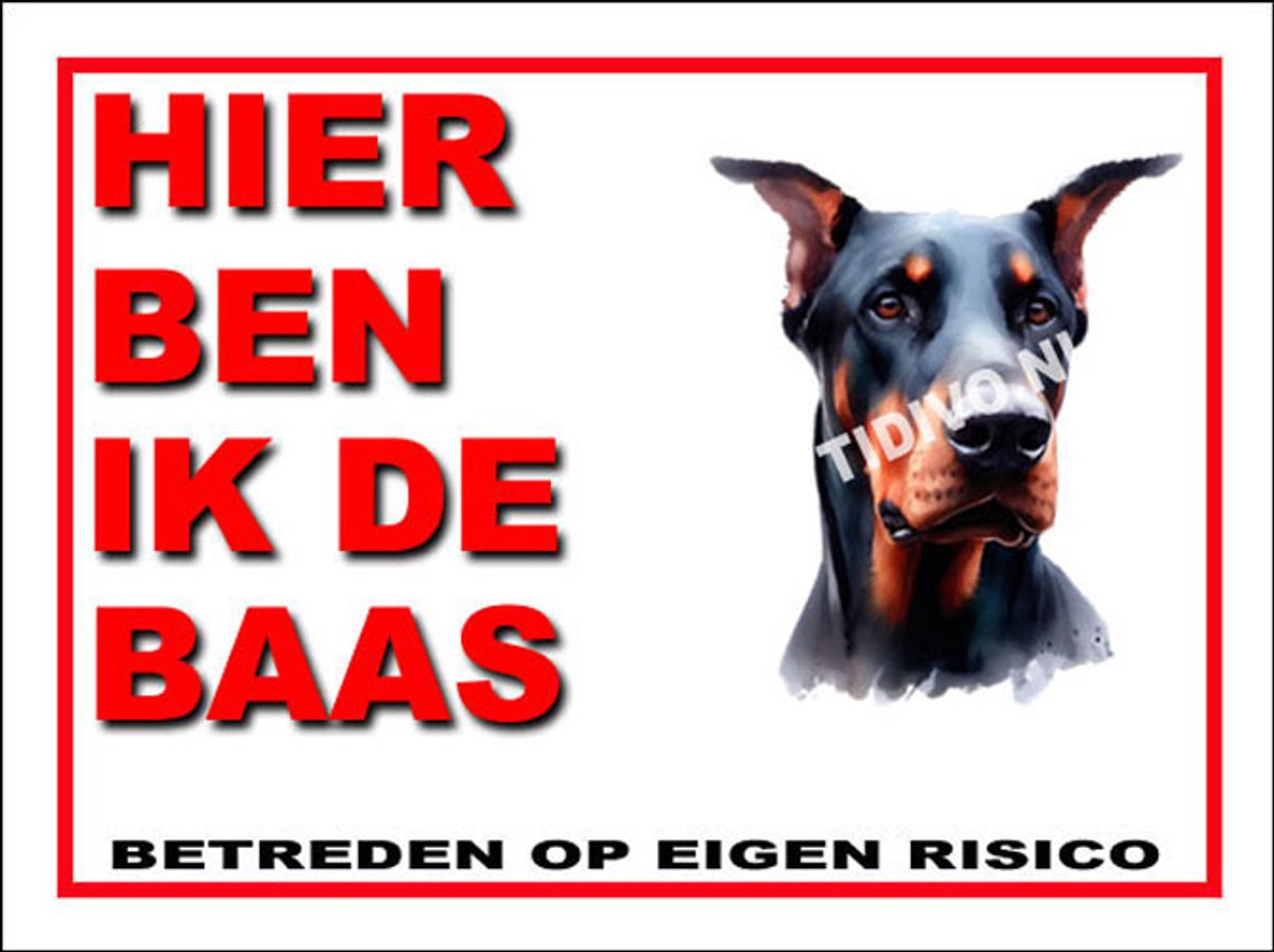 Duitse Dog 2