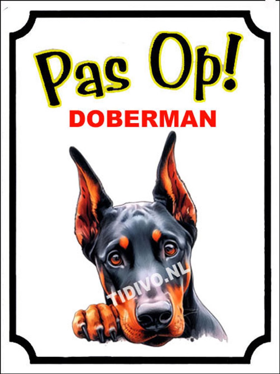 Duitse Dog 16