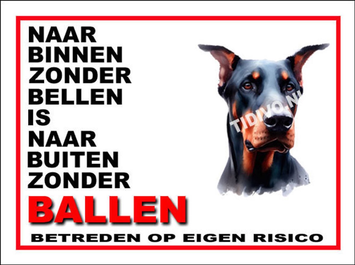 Duitse Dog 11