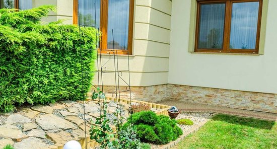 NATURE Klimrek planten kunststof groen 50 x 150 cm kopen