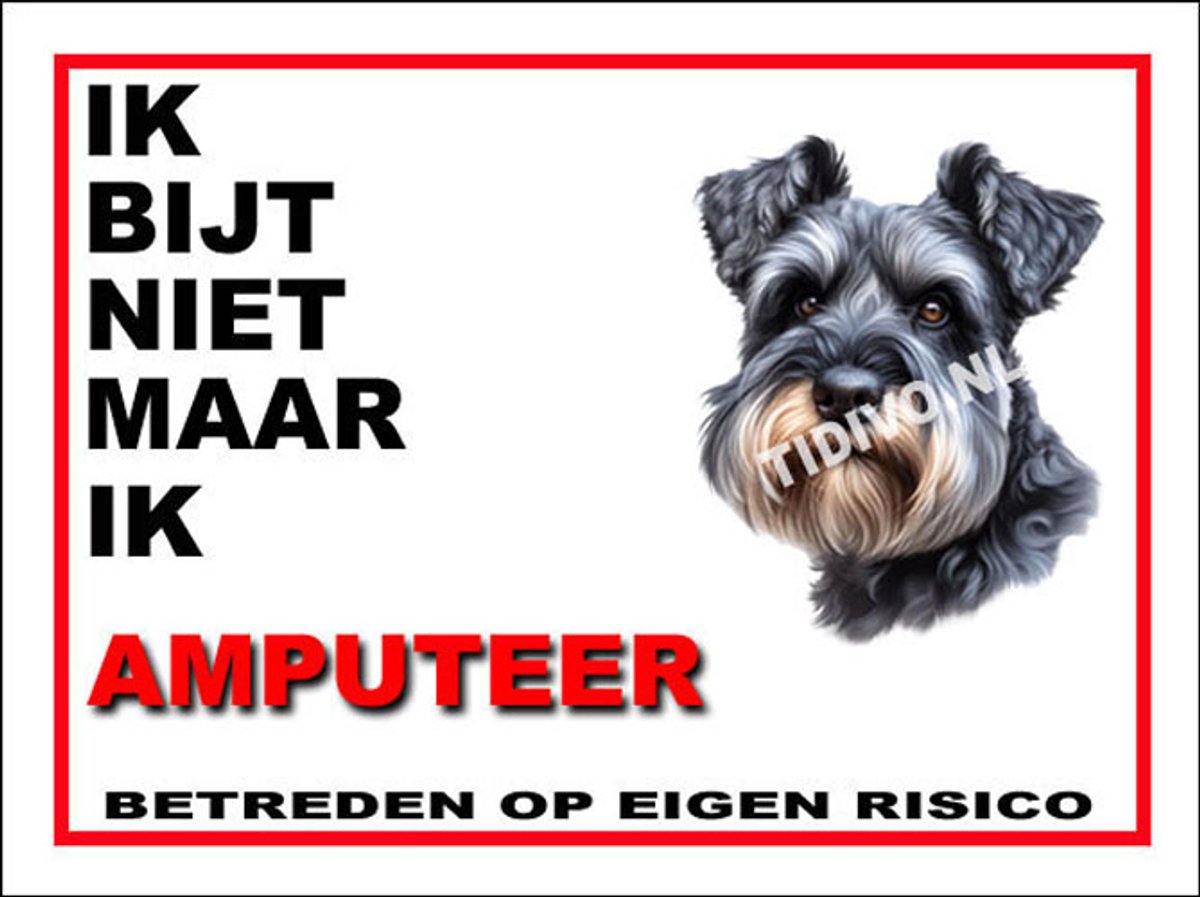 Cesky Terrier 5