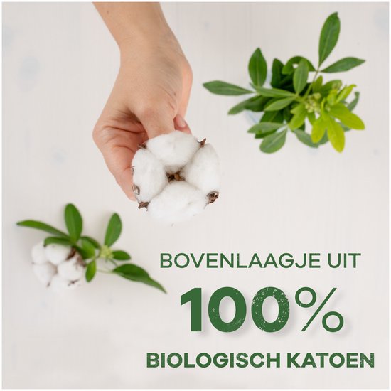 Always Dailies, bovenlaagje uit 100% biologisch katoen.