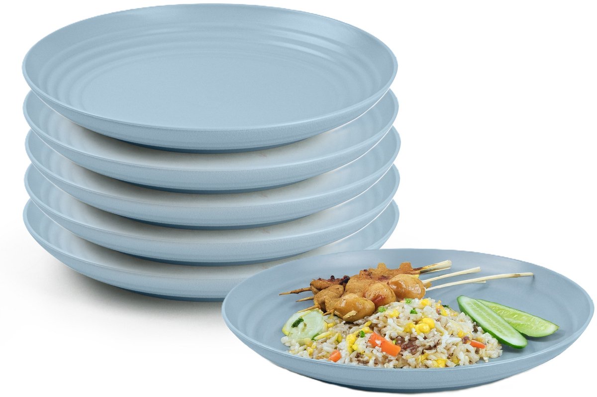 Plasticforte Rond bord/camping bord - 12x - D20 cm - ijsblauw - kunststof - onbreekbaar - servies
