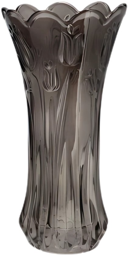 Winter Shore Glazen Vazen Set (3 Pak) - Klein, Middel & Grote Glazen Vazen voor Kopstukken - Cylinder Minimale Bloemenvaas voor Huisdecor, Kantoor, Bruiloft - Decoratieve Doorzichtige Tafel Vazenset Winter Shore Glazen Vazen Set (3 Pak) - Klein, Middel & Grote Glazen Vazen voor Kopstukken - Cylinder Minimale Bloemenvaas voor Huisdecor, Kantoor, Bruiloft - Decoratieve Doorzichtige Tafel Vazenset