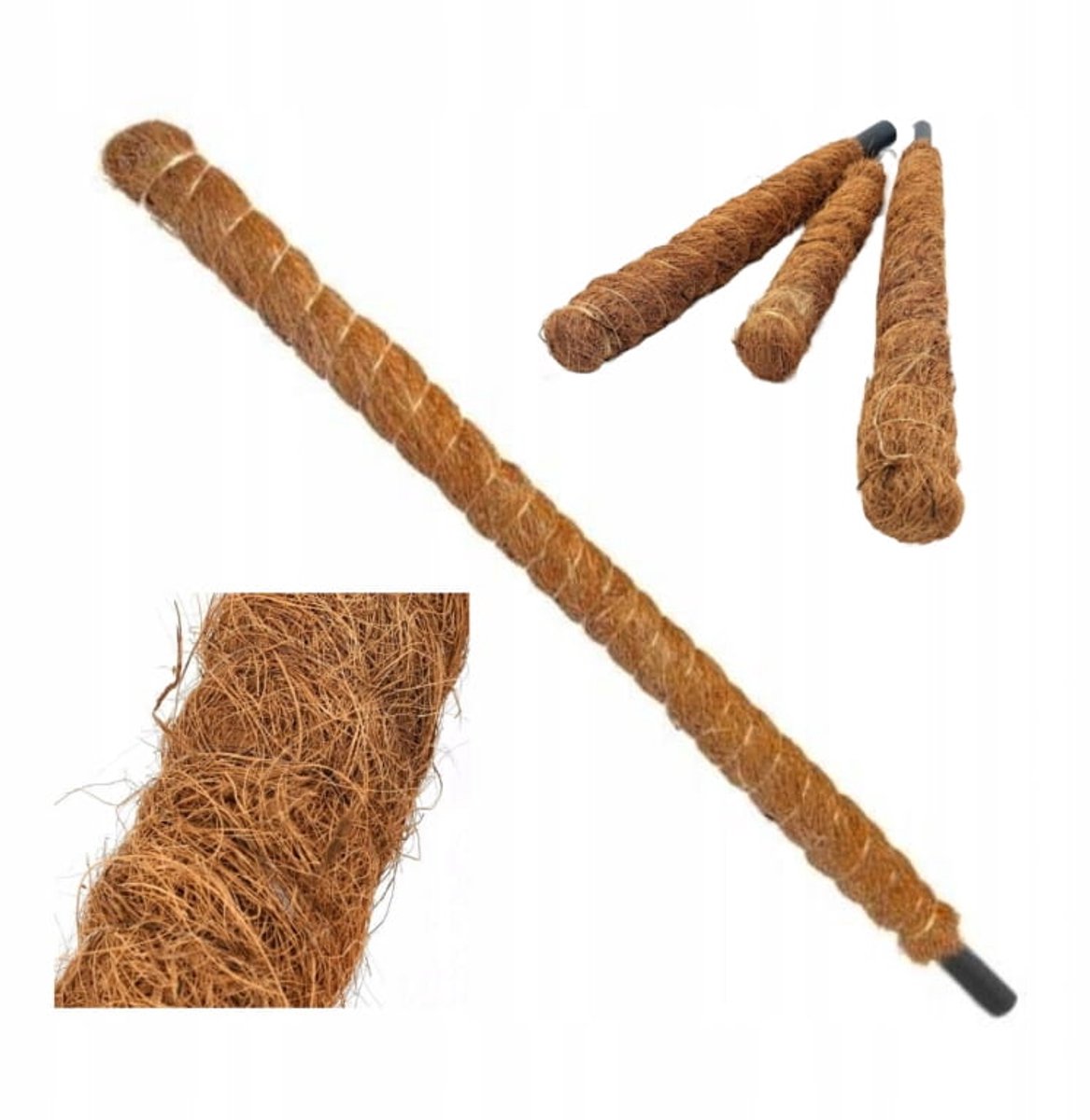 RIM Rim Serie - Decoratieve Kokos Plantensteun - 80 cm - Sterk en Ecologisch