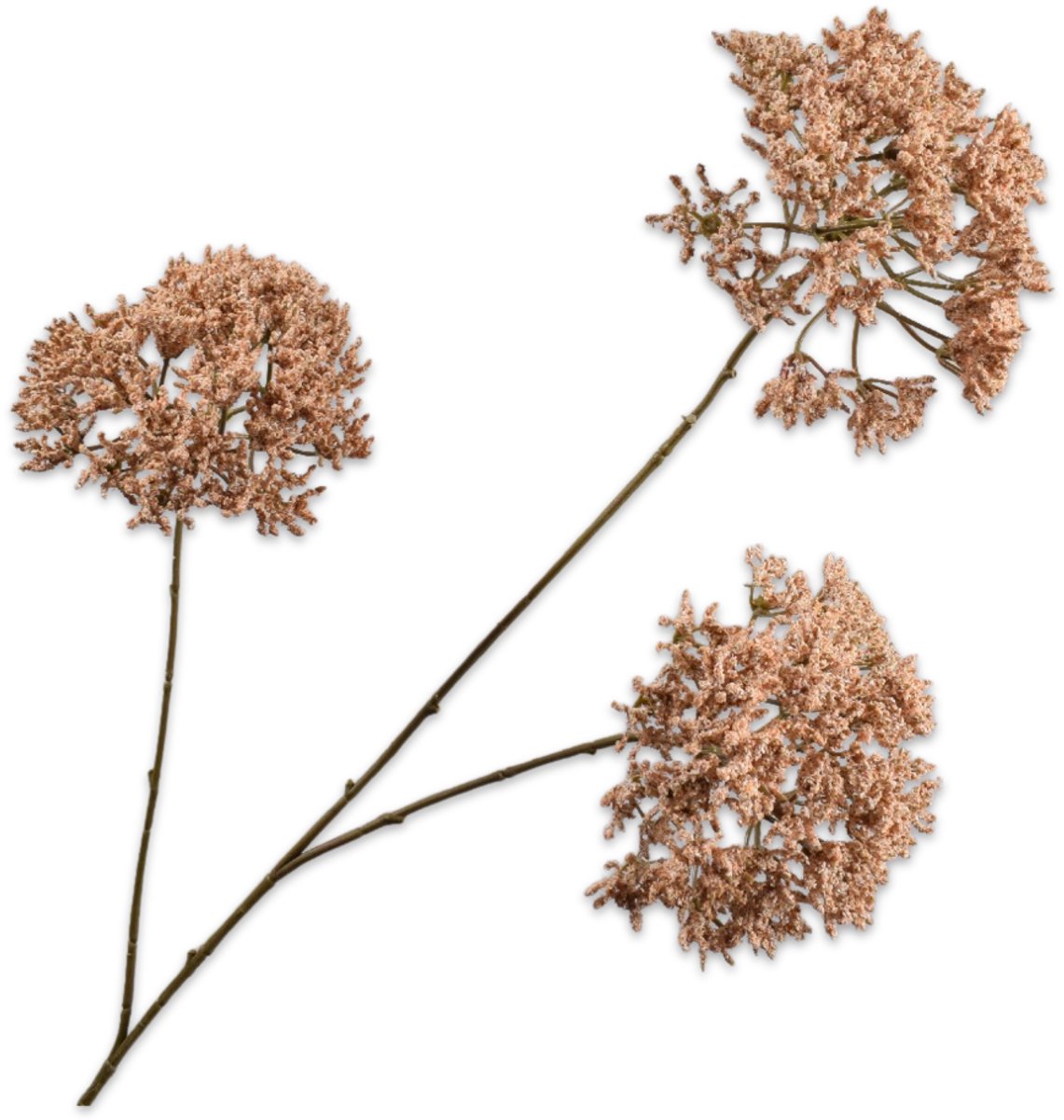 Silk-ka Kunstbloem-Zijden Bloem-Kunsttak Trachelium Creme-Bruin 85 cm
