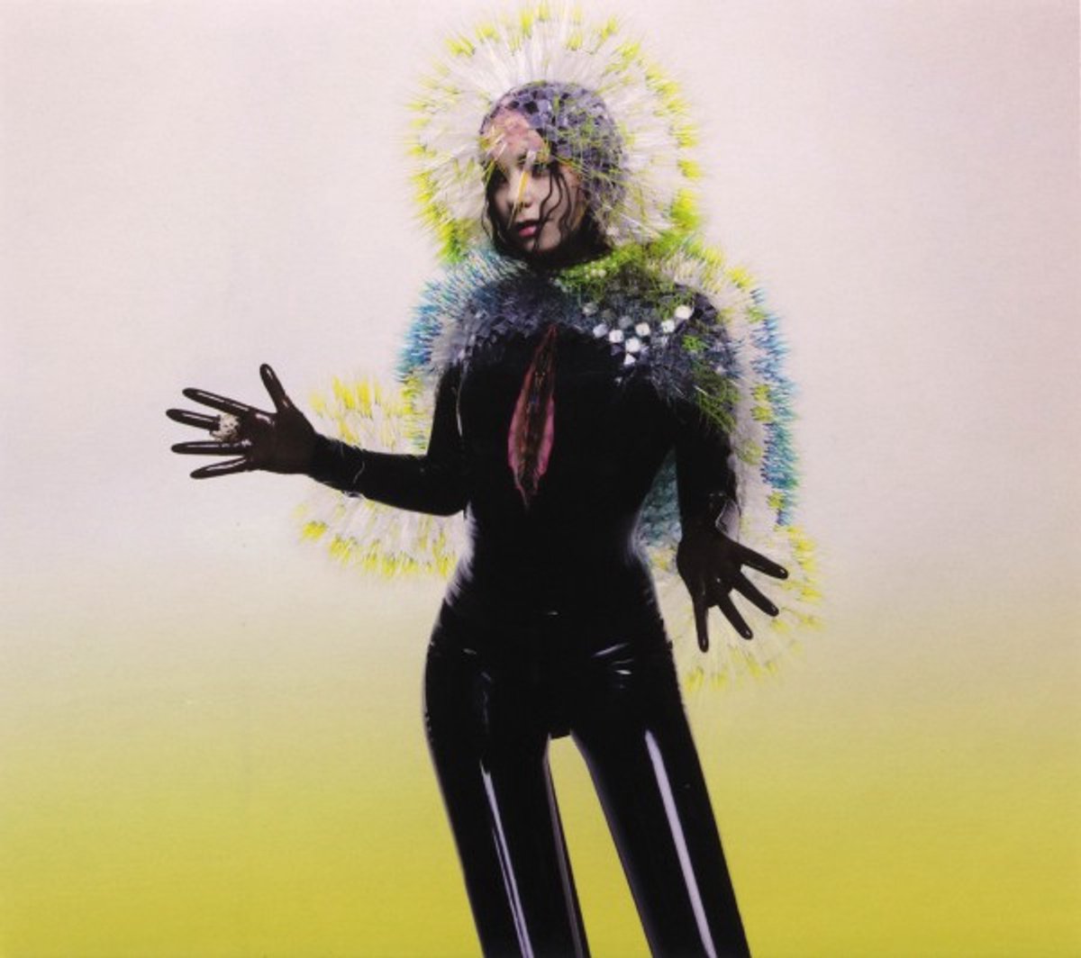 Bjork: Vulnicura [CD]