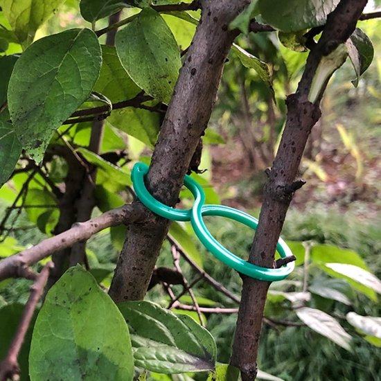 Plantenklemmen, plantenclips, plantenclips, tuinplant, 100 stuks, wit, kunststof, herbruikbaar, voor kleine en grote scheuten, klimhulp, groenten, tomaten, planten, ondersteuning