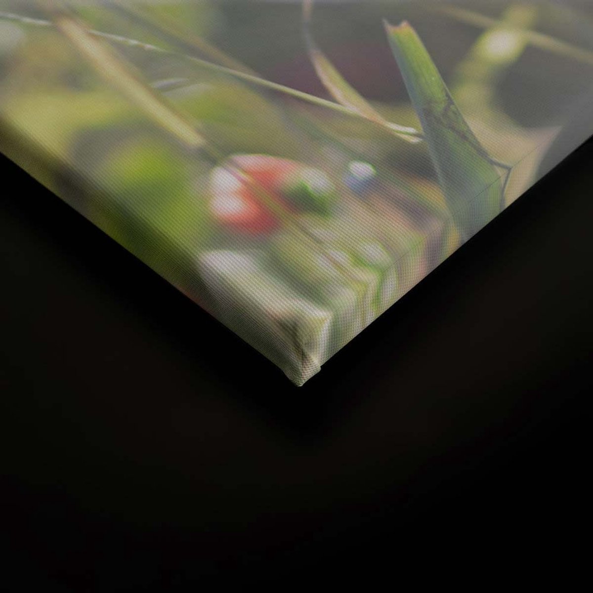 Canvas DD124960 Mohn Blumen A. S. Création