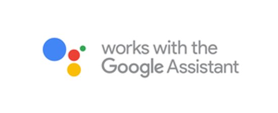 Google Assistant logo met de tekst 'works with the Google Assistant'.