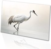 Elegante kraanvogel in serene omgeving - Kraanvogel schilderijen glas - Muurdecoratie dier - Hyperrealisme - Acrylglas schilderijen - Muurdecoratie industrieel - acrylglas 120x80 cm