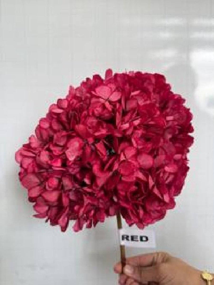 1x Dc pres.hydr.red
