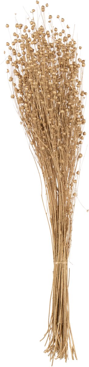 J-Line decoratie tak Linnen Droogbloemen - riet - goud