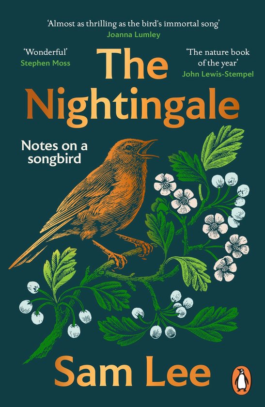 The Nightingale - cover